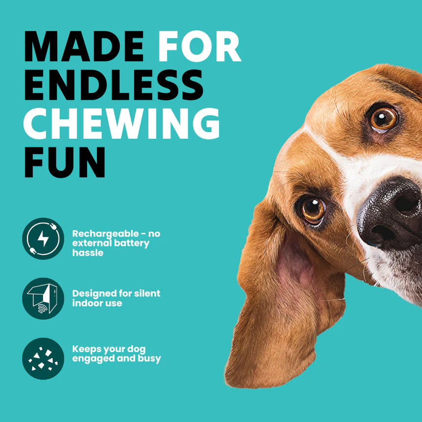 Mindball – Designed to Improve Your Dog’s Focus, Curiosity & Emotional Health