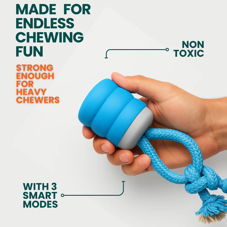 Mindball – Designed to Improve Your Dog’s Focus, Curiosity & Emotional Health