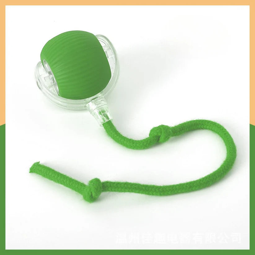 Interactive Play Ball With Tail