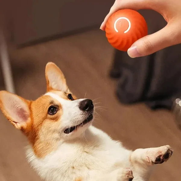 Interactive Bouncing Ball