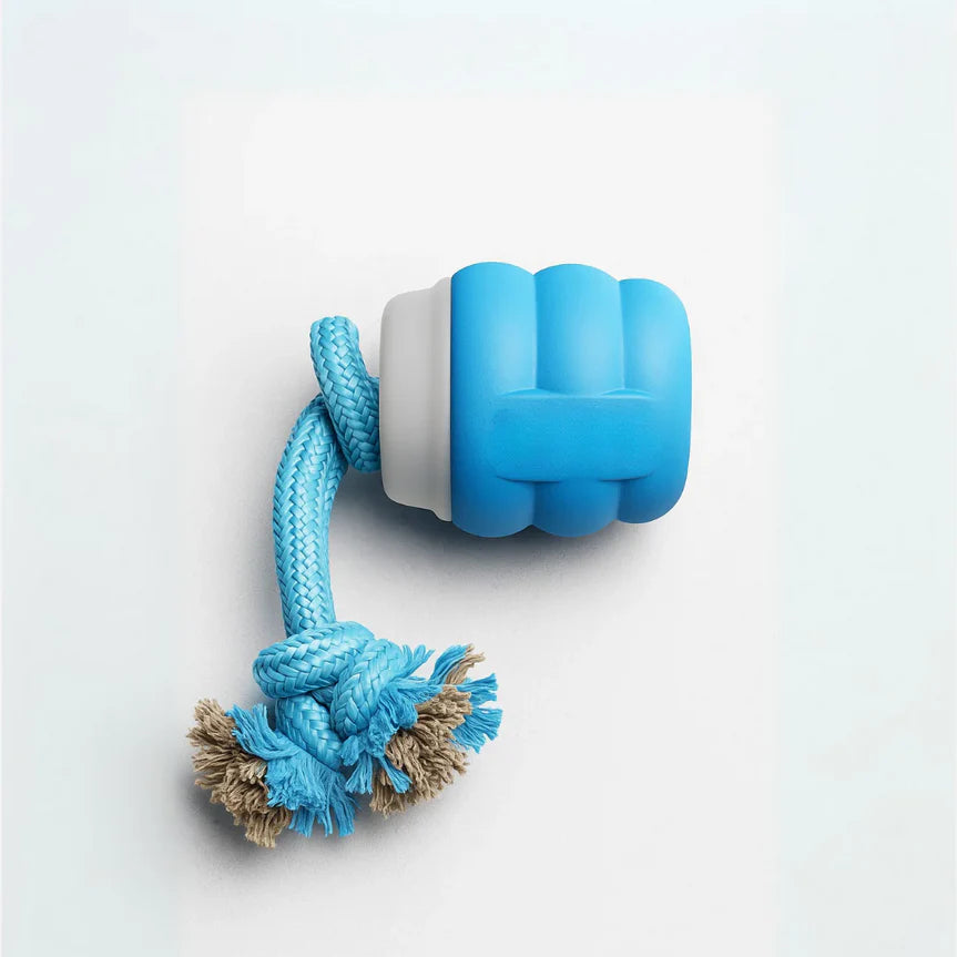 Mindball – Designed to Improve Your Dog’s Focus, Curiosity & Emotional Health