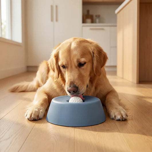 Lick & Roll Slow Feeder Bowl (New Design!)