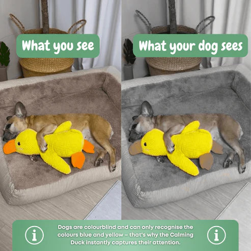 Nurtur Pets™ - Calming Duck