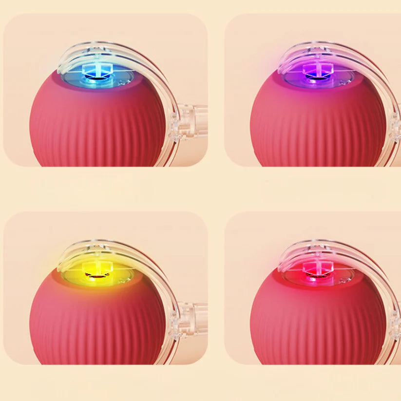 Interactive Play Ball With Tail