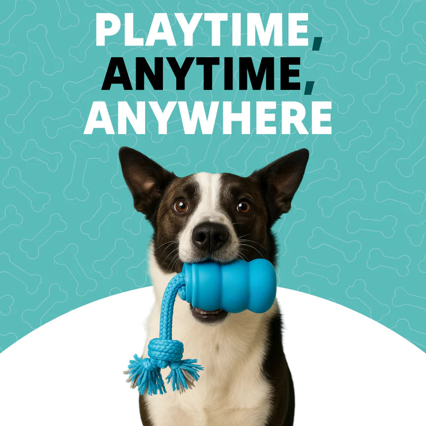 Mindball – Designed to Improve Your Dog’s Focus, Curiosity & Emotional Health