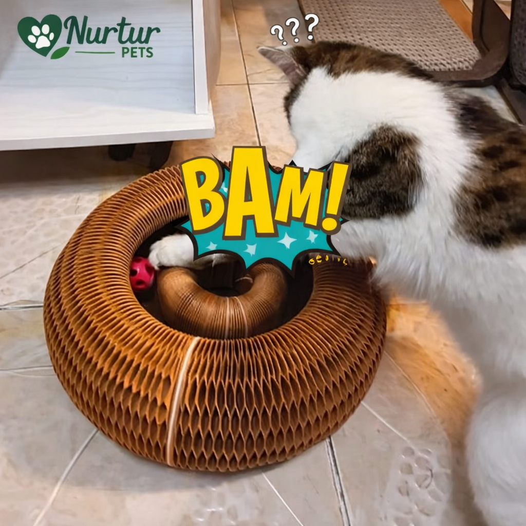 Kitty Curler