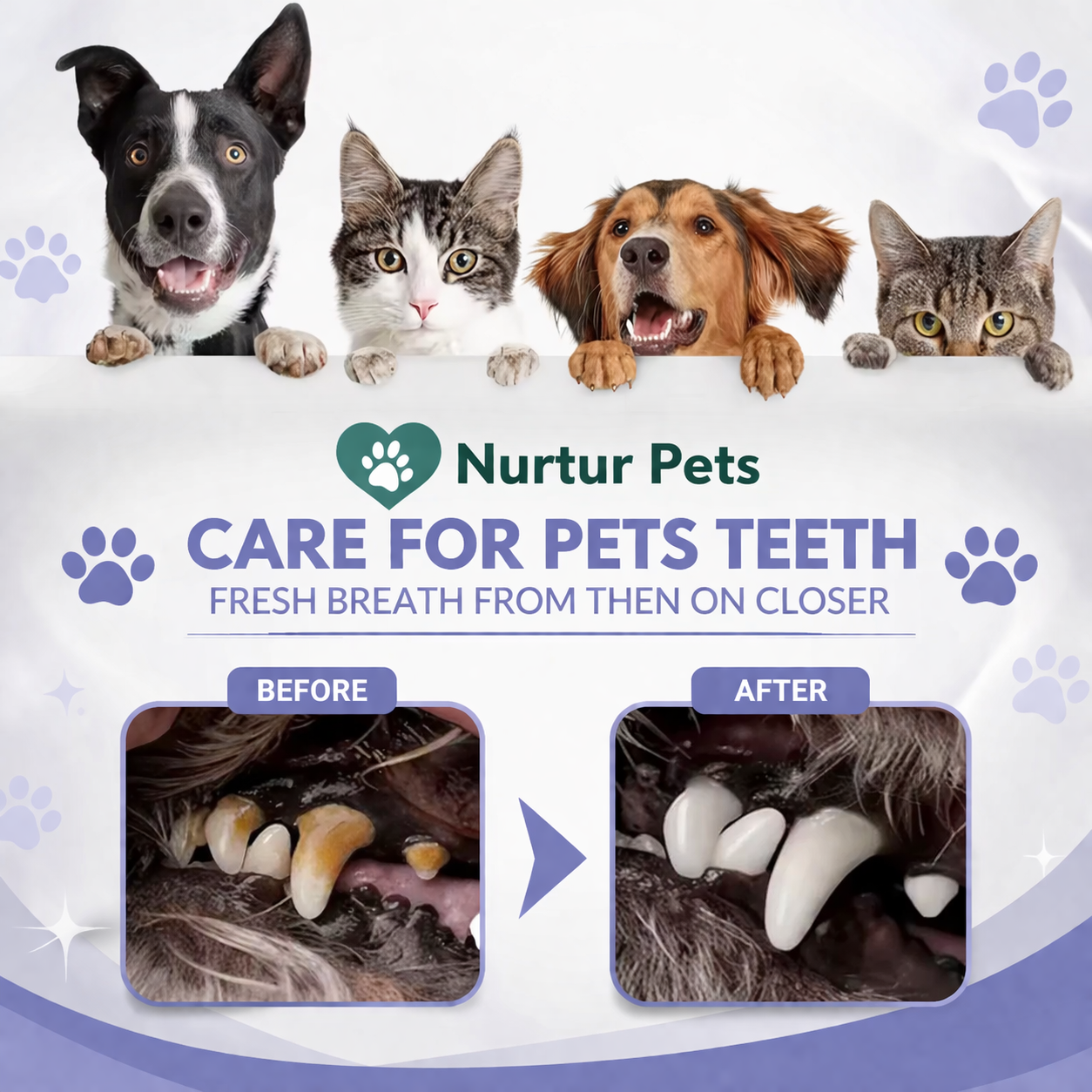 Nurtur Pets Oral Dental Care