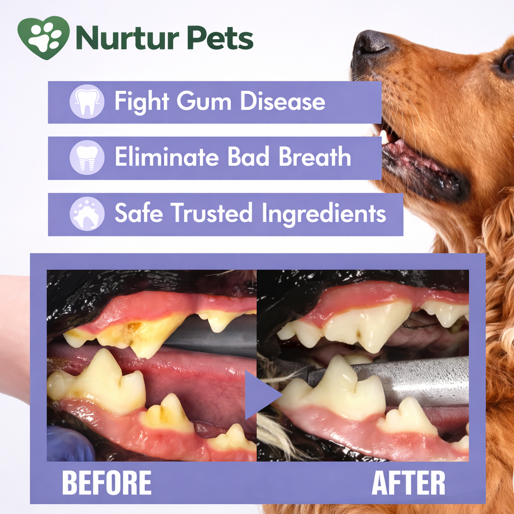 Nurtur Pets Oral Dental Care
