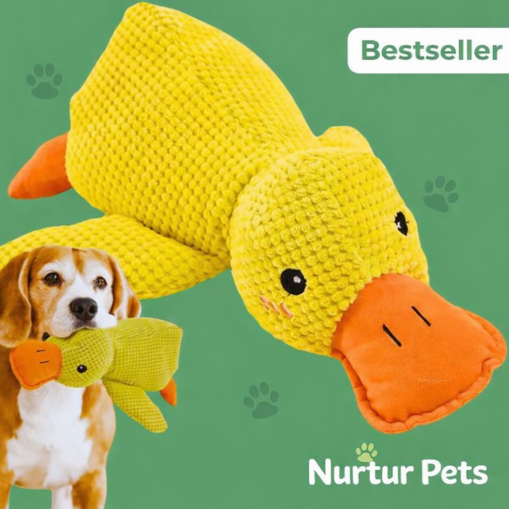 Nurtur Pets™ - Calming Duck
