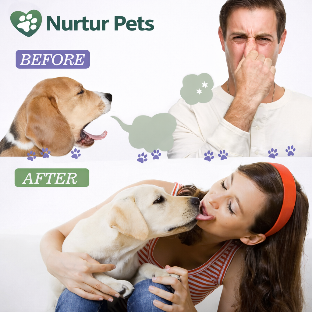 Nurtur Pets Oral Dental Care